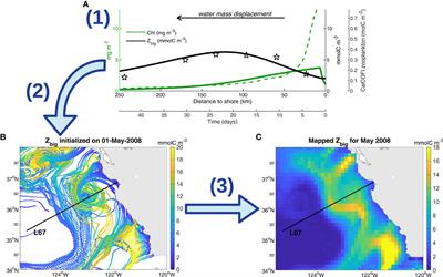 Satellite-Based Lagrangian Model Reveals How Upwelling and Oceanic Circulation Shape Krill Hotspots in the California Current System